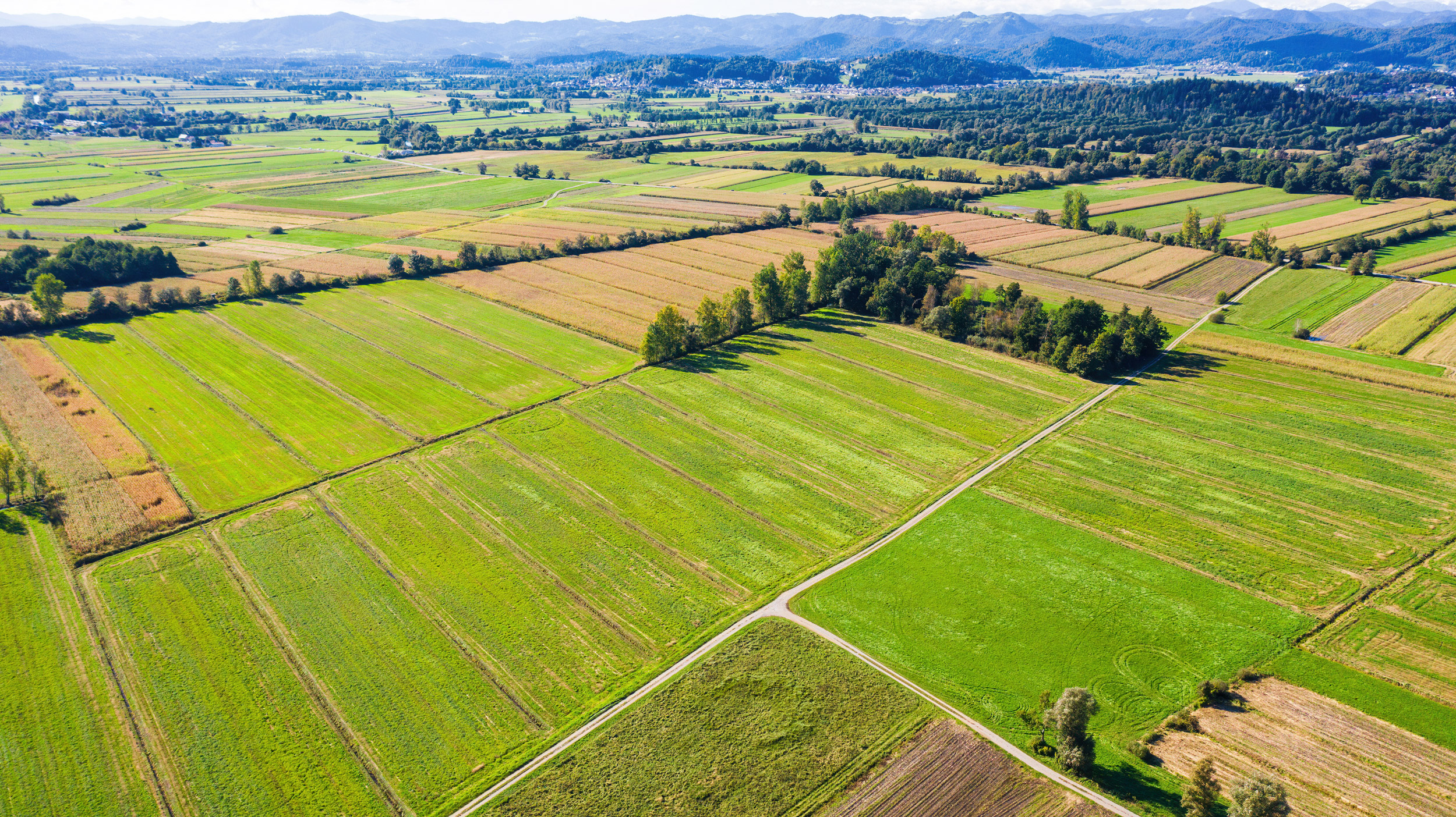 Wie wird der Wert landwirtschaftlicher Flächen ermittelt?